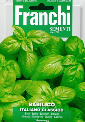 Sweet basil ''Italiano classico"