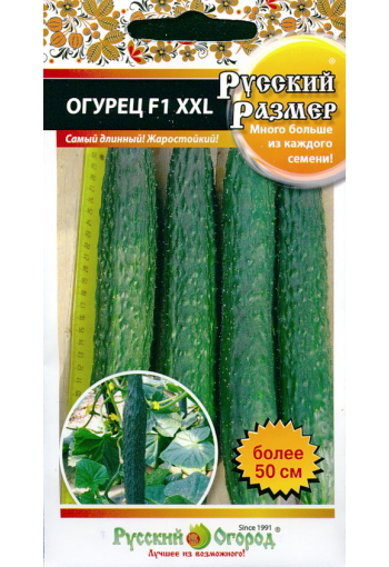 Long cucumber "Russky Razmer XXL" F1