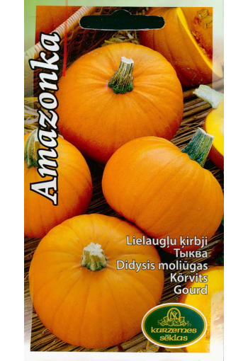 Pumpkin "Amazonka"