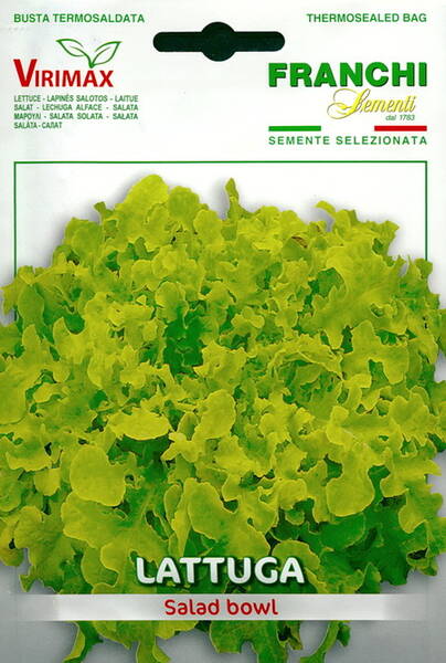 Lettuce "Salad Bowl" (oak-leaved)