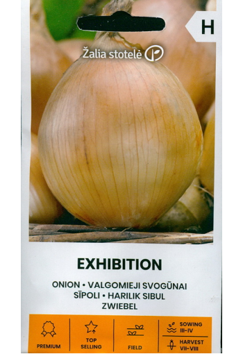 Onion "Exhibition"
