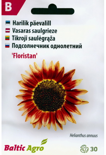 Sunflower "Floristan"