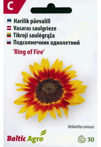 Decorative sunflower "Ring of Fire"
