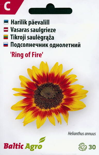 Päevalill dekoratiivne "Ring of Fire"