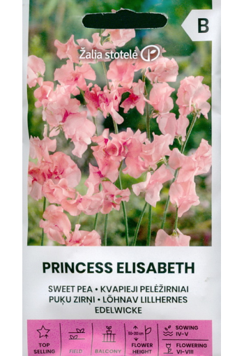 Tuoksuherne "Princess Elisabeth" (hajuherne)