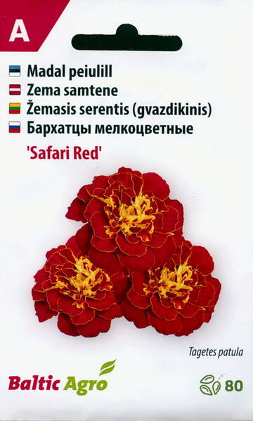 Ryhmäsamettikukka "Safari Red"