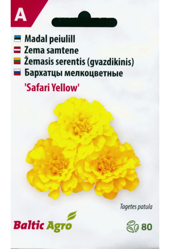 French marigold "Safari Yellow"