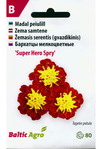French marigold "Super Hero Spry"