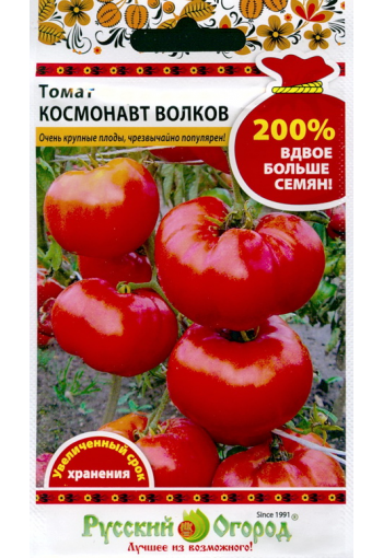 Tomaatti "Cosmonaut Volkov"