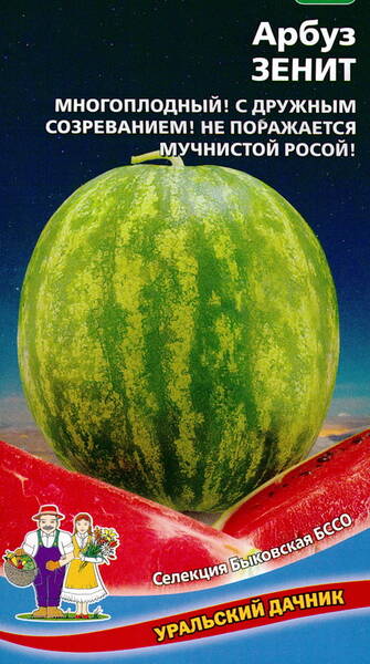 Vattenmelon "Zenit"