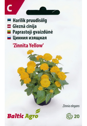 Tsinnia "Zinnita Yellow" (oppineittenkukka)