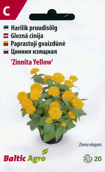 Zinnia "Zinnita Yellow"