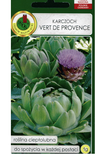 Latva-artisokka "Vert de Provence"