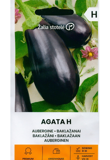 Eggplant "Agata" F1