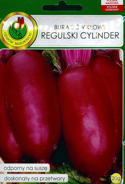 Beetroot "Regulski Cylinder"