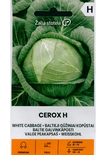 White cabbage "Cerox" F1 