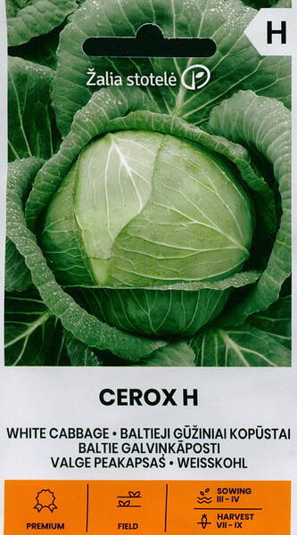 White cabbage "Cerox" F1 