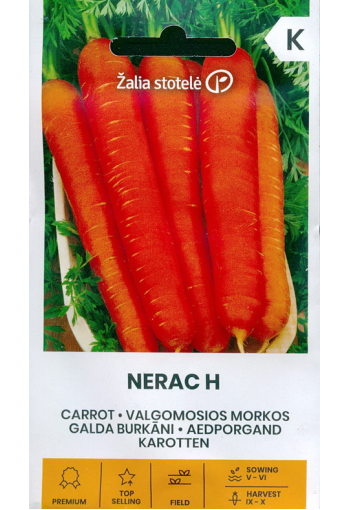 Porkkana "Nerac" F1
