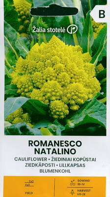 Kukkakaali "Romanesco Natalino"