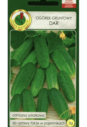 Cucumber "Dar" (dwarf)