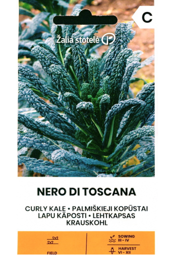 Curly kale "Nero di Toscana"