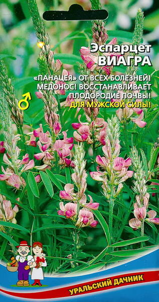 Эспарцет виколистный "Виагра" (Onobrychis viciifolia)