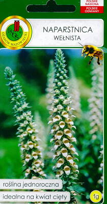 Наперстянка шерстистая (Digitalis lanata)