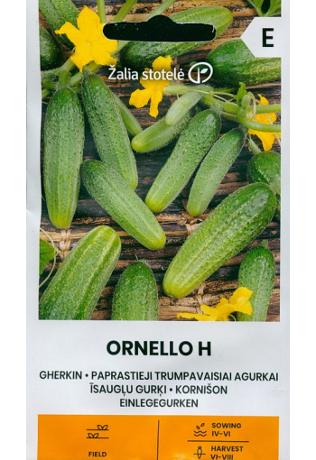 Cucumber "Ornello" F1