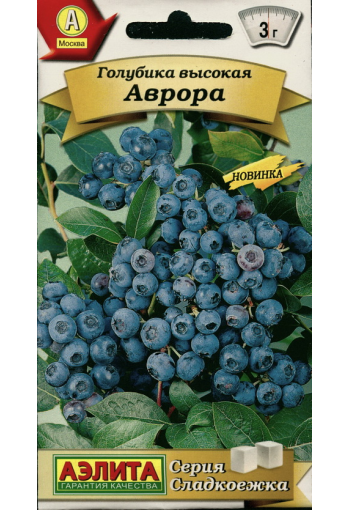 Northern highbush blueberry "Avrora"