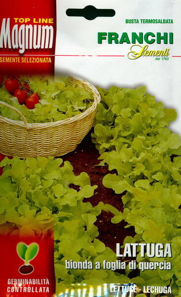 Salat "Bionda a foglia di quercia" (tammelehine) 24 g