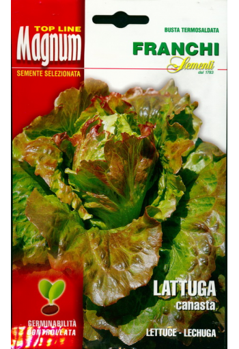 Lettuce "Canasta" (9 gr)