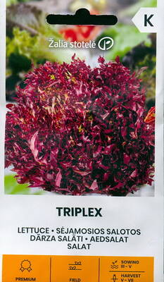 Frisee salaatti "Triplex"