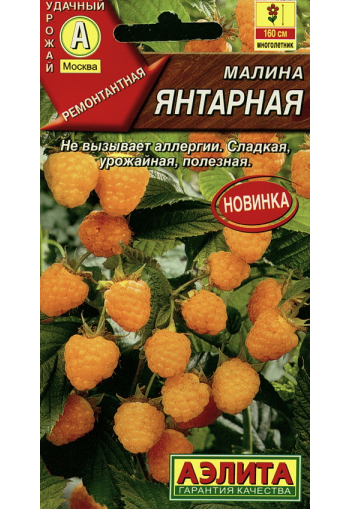 Raspberry yellow "Yantarnaya"