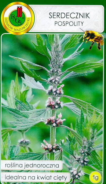 Motherwort