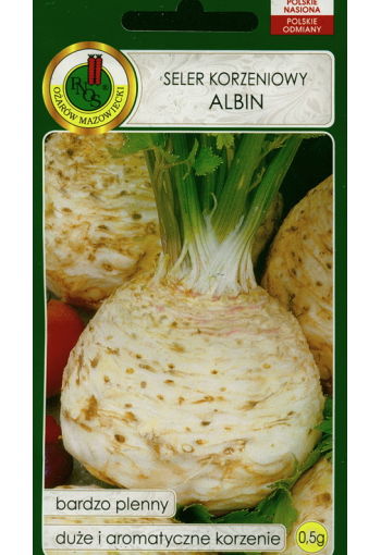 Celeriac "Albin"