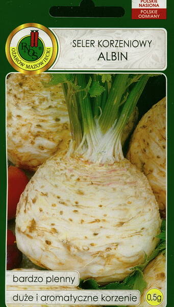 Celeriac "Albin"