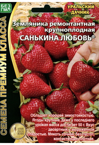 Remontant strawberry "Sankina Lyubov"
