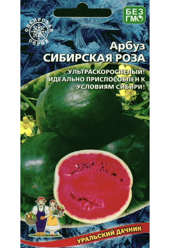 Vattenmelon "Sibirskaya Roza"