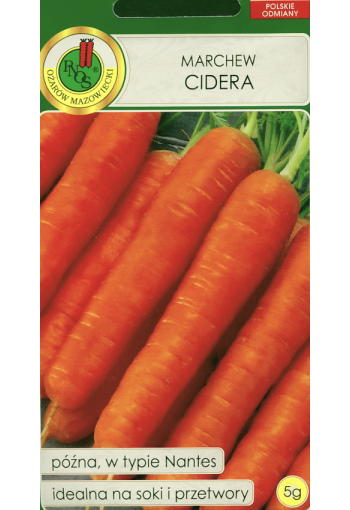Carrot "Cidera"