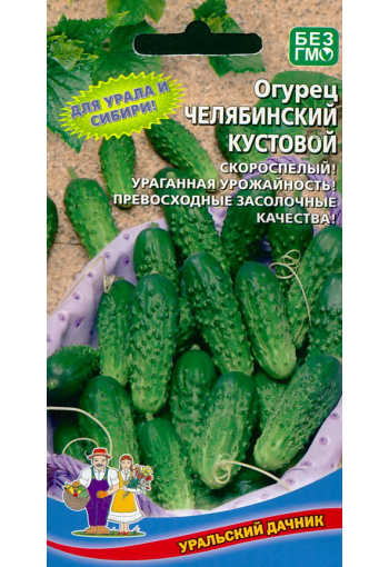 Cucumber "Chelyabinsky kustovoy"