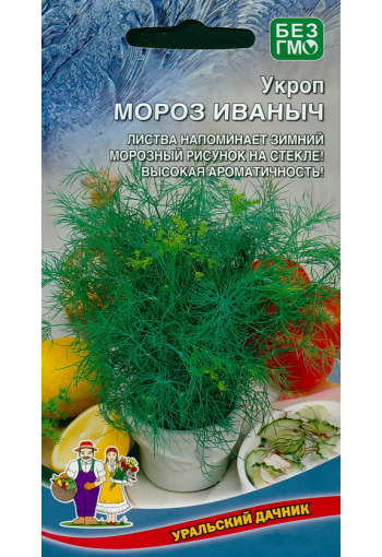 Dill "Moroz Ivanych"
