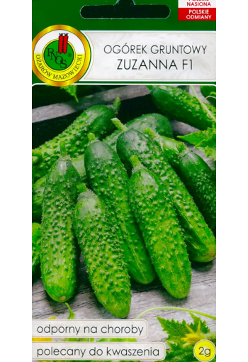 Cucumber "Zuzanna" F1