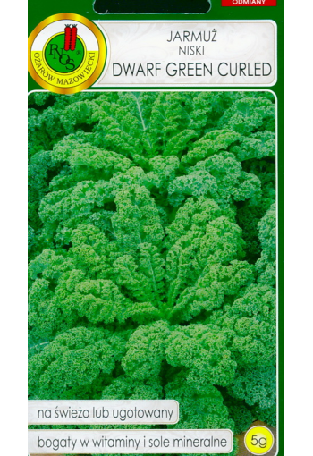 Curly kale "Dwarf green curled"
