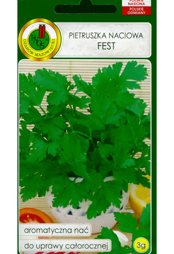 Plain leaf parsley "Fest"