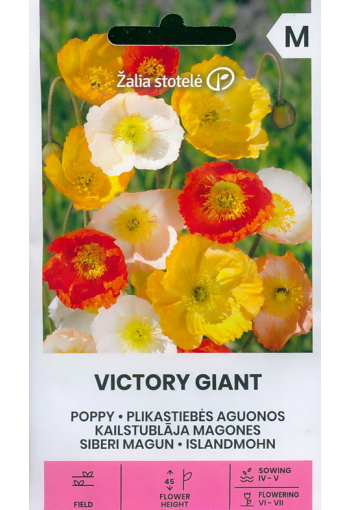 Arctic poppy​​​​​​​ "Victory Giant" (mix of Siberian poppy)