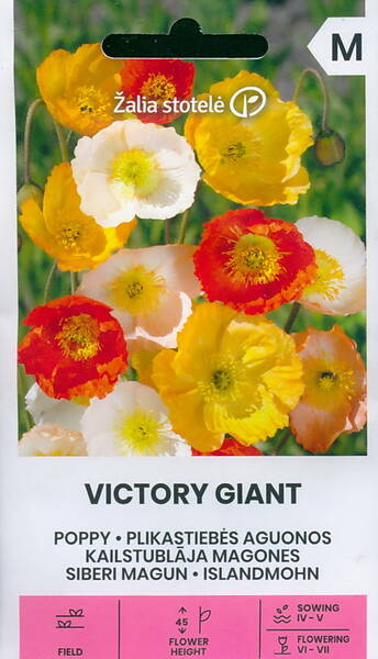 Arctic poppy​​​​​​​ "Victory Giant" (mix of Siberian poppy)