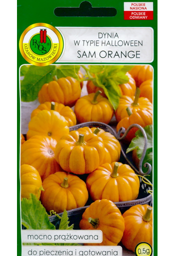 Pumpa "Sam Orange"