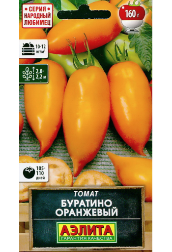 Tomaatti "Buratino oranzhevy"