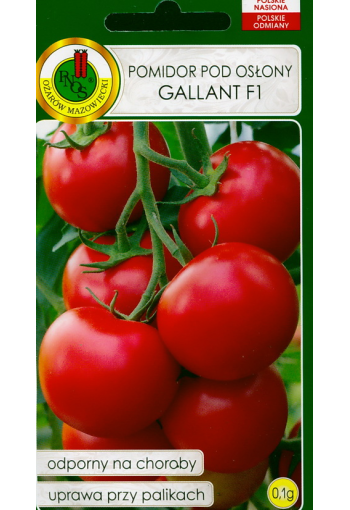 Tomato "Gallant" F1