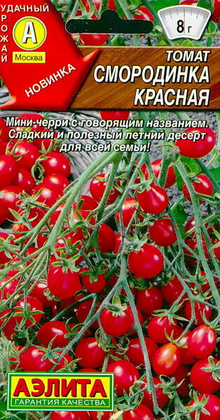 Tomato "Smorodinka krasnaya"